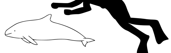 Vaquita