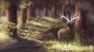 Stephen Scott (BlindCoyote)