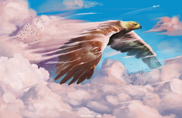 Stephen Scott (BlindCoyote)