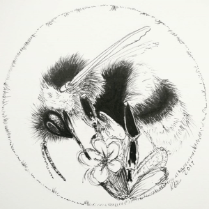 Kirsty Dillon (Clarrydoll)