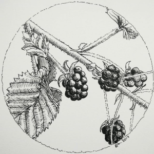 Kirsty Dillon (Clarrydoll)