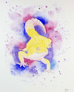 Kirsty Dillon (Clarrydoll)