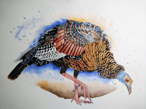 Kirsty Dillon (Clarrydoll)