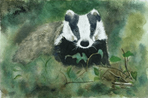 Kirsty Dillon (Clarrydoll)