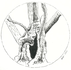 Kristy Dillon (Clarrydoll)