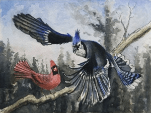 Kristy Dillon (Clarrydoll)