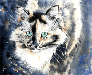 Kirsty Dillon (Clarrydoll)