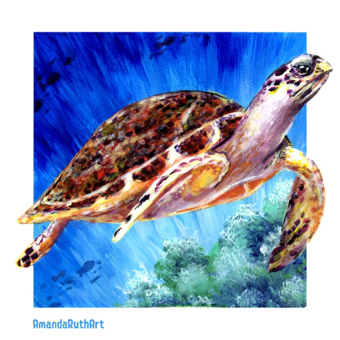 Sea Turtle Host Train