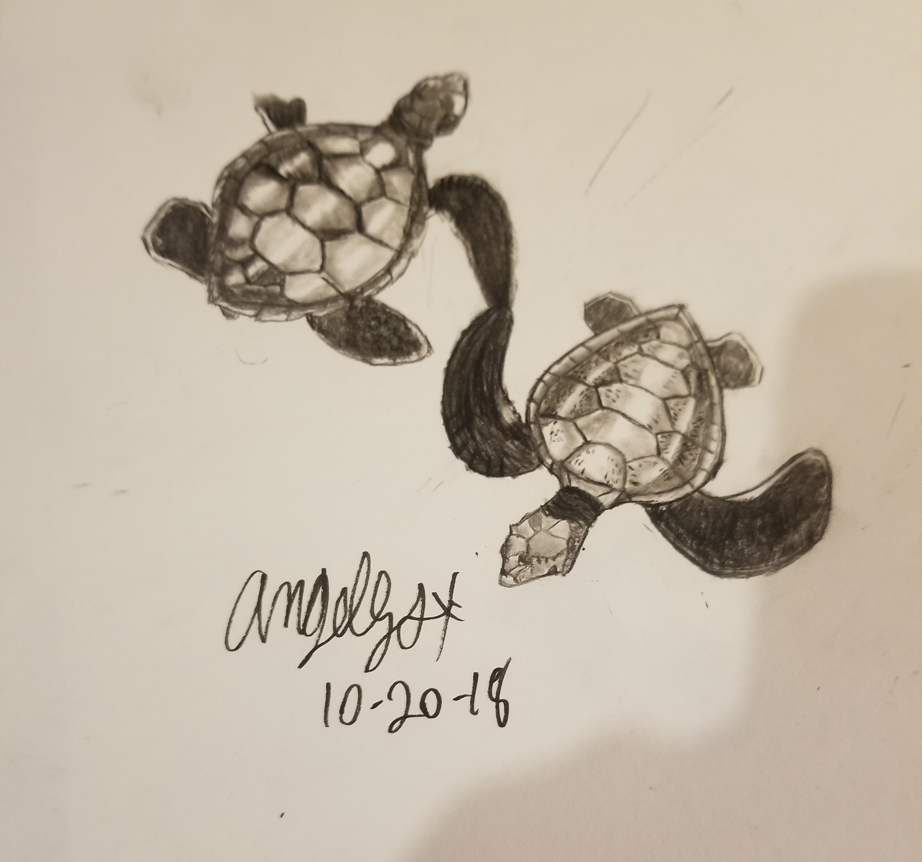 Sea Turtle Host Train