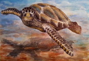 Sea Turtle Host Train