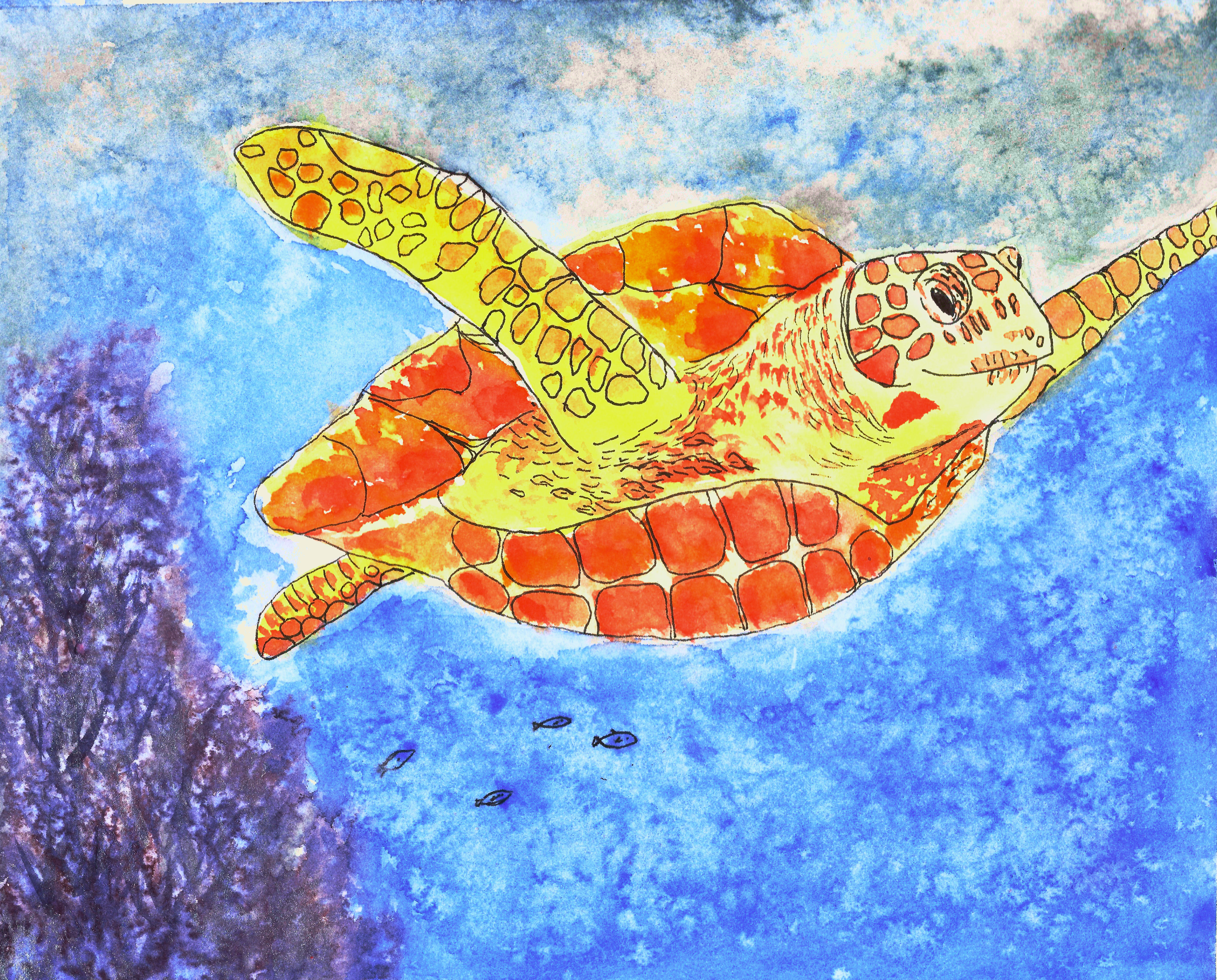 Sea Turtle Host Train