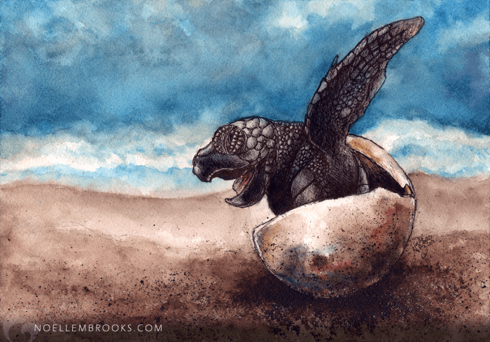 Sea Turtle Host Train