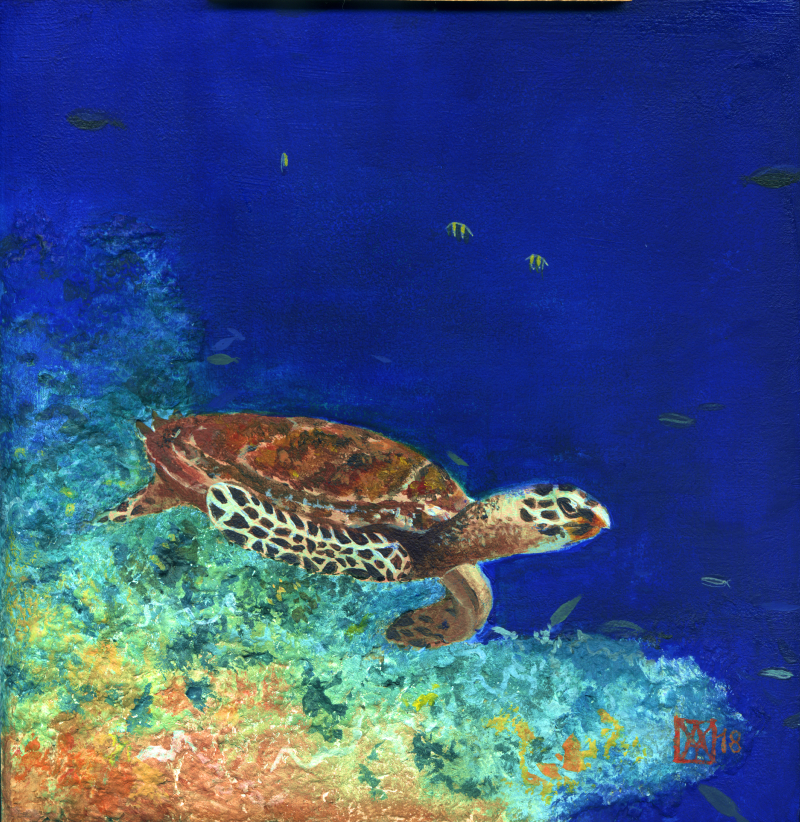 Sea Turtle Host Train