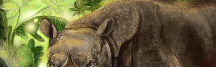 Javan Rhinoceros