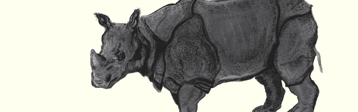 Javan Rhinoceros