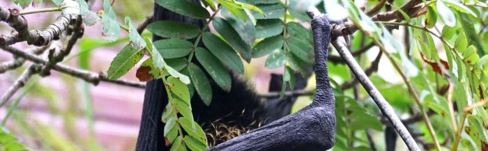 Livingstone's Flying Fox