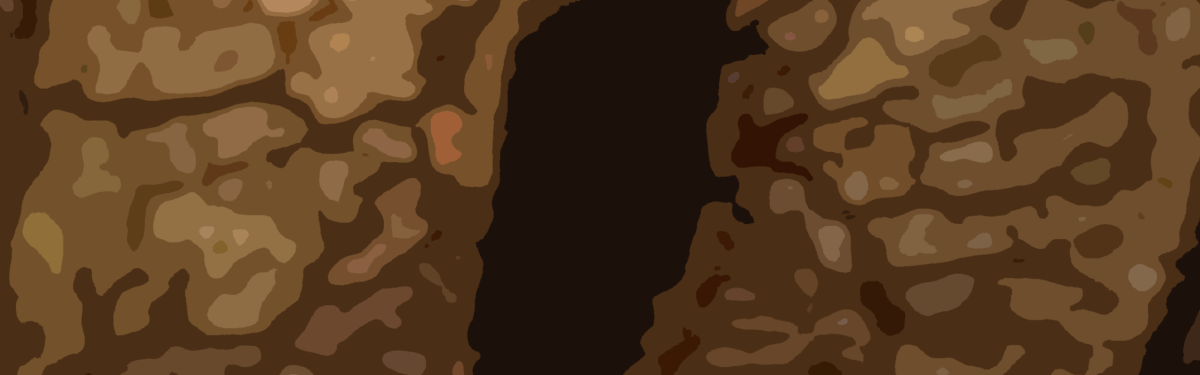 Gulbaru Leaf-Tailed Gecko