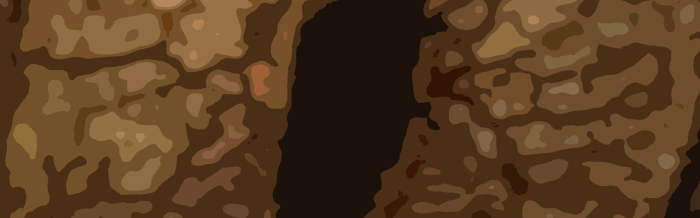 Gulbaru Leaf-Tailed Gecko