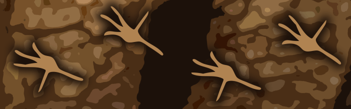 Gulbaru Leaf-Tailed Gecko