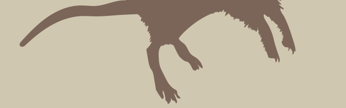 Southern Grasshopper Mouse