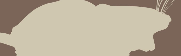 Southern Grasshopper Mouse