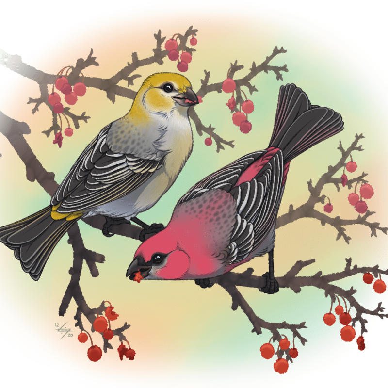 Holiday Art Trade:&nbsp;2020