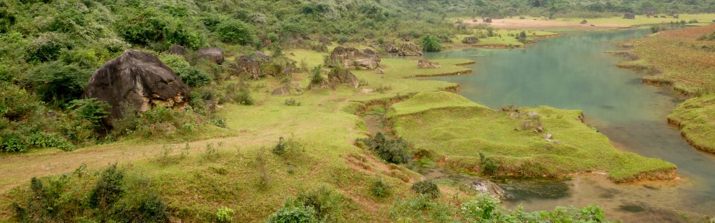 Annamite Striped Rabbit