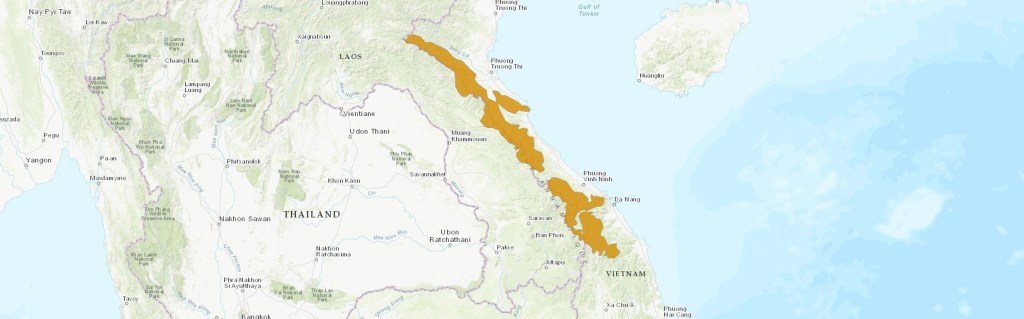 Annamite Striped Rabbit