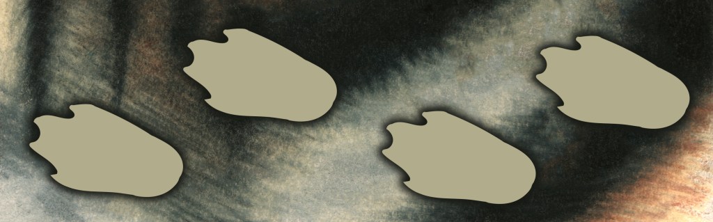 Annamite Striped Rabbit