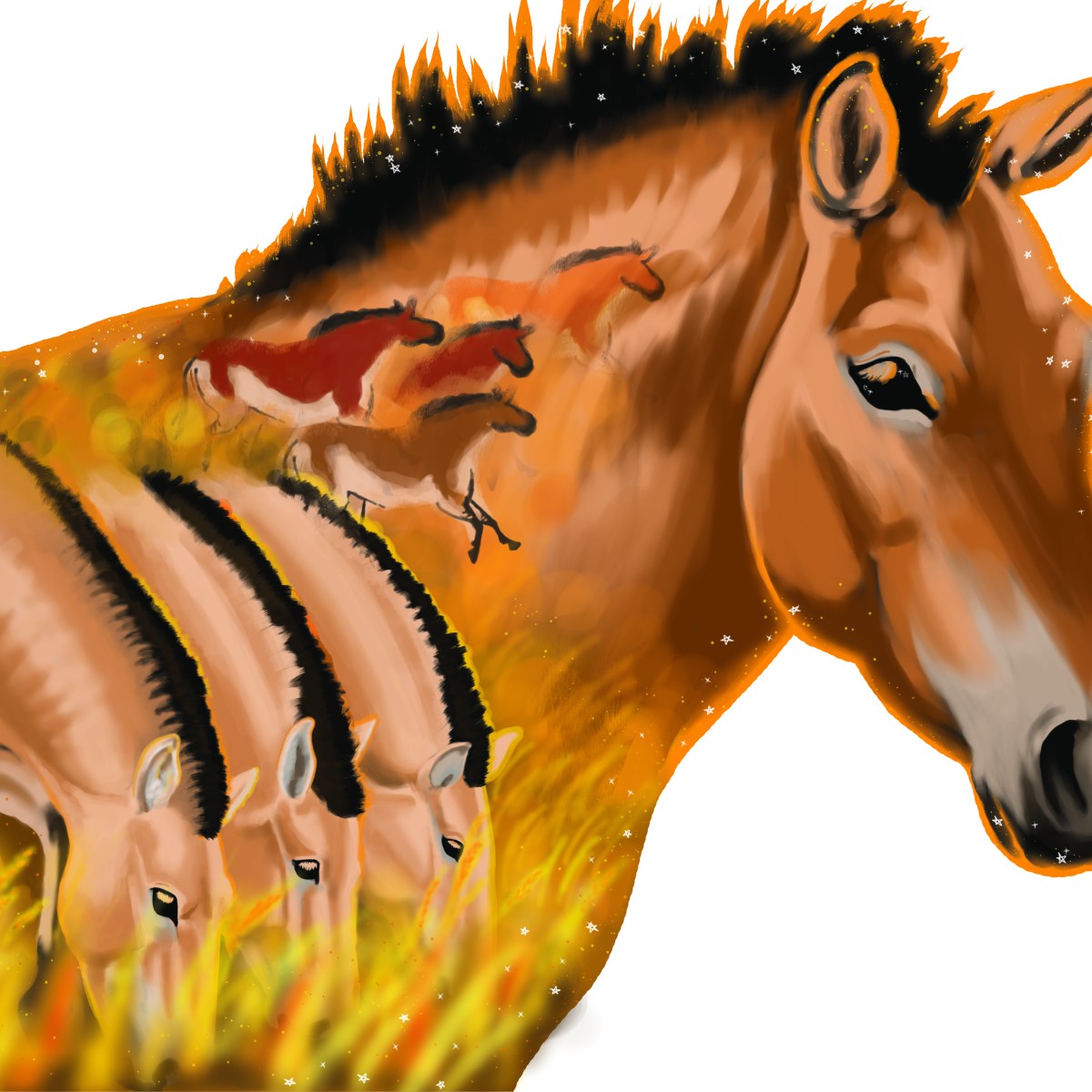 Free-For-All: Przewalski’s Horse